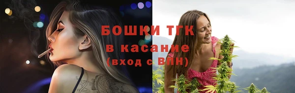соль ск Заводоуковск