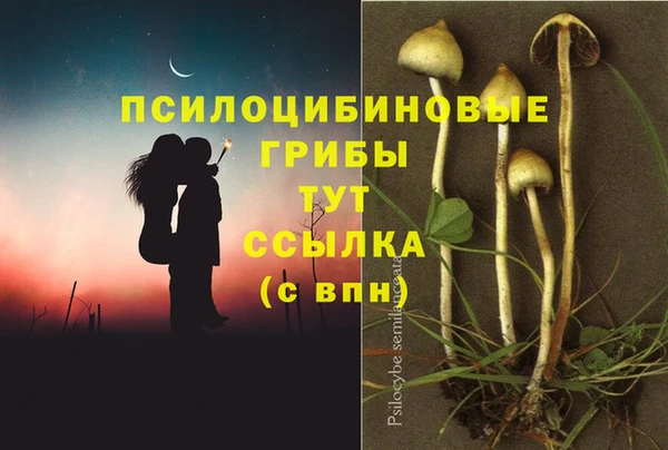 мяу мяу мука Заволжск
