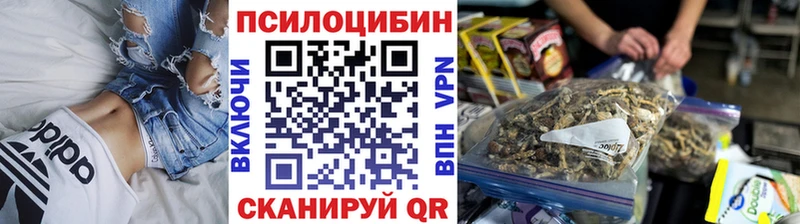 Псилоцибиновые грибы MAGIC MUSHROOMS  Купить где  Зарайск 